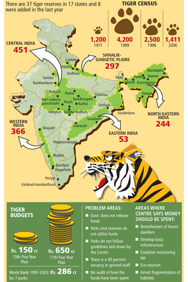 mg_14372_tiger_facts_280x210.jpg